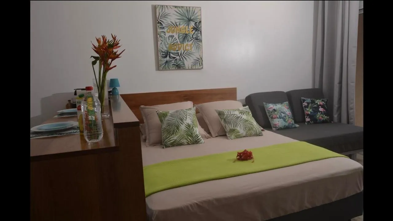 Tahiti Tropical Studio Apartment Papeete